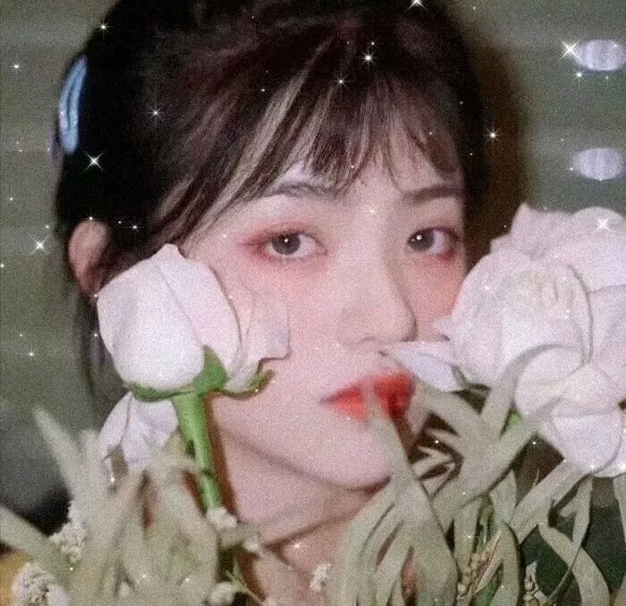 石头会说话